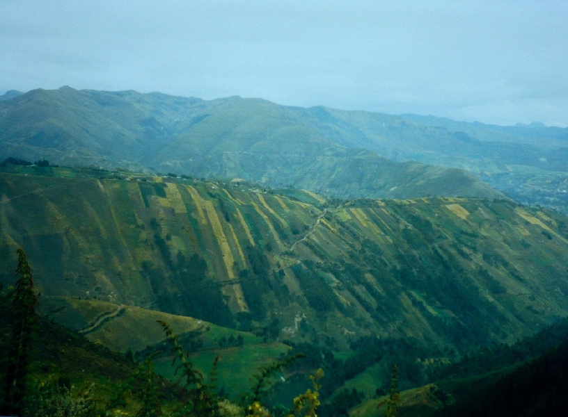 steile Aecker bei Ambato
