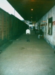 Guayaquil Bahnhof, 5 Uhr