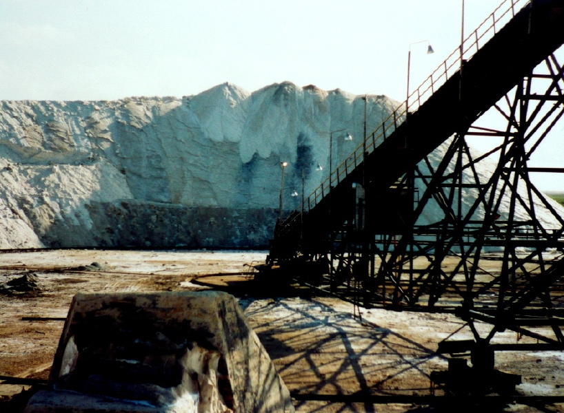 Manaure6