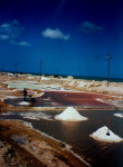 Manaure1