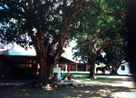 Las Pampas