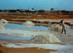 Manaure3