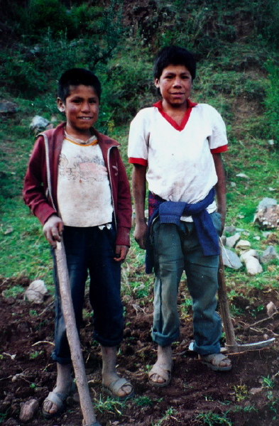 Pisac, Bauernjungen