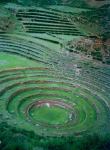 Moray