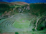 Moray2
