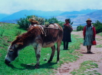bei Maras