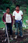 Pisac, Bauernjungen
