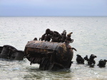 Namibe, Walfänger
