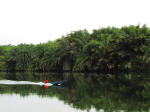 Fischer am Rio Kwanza