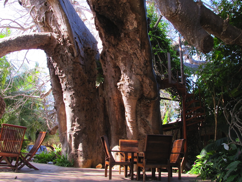 Pemba, Pieter's Place