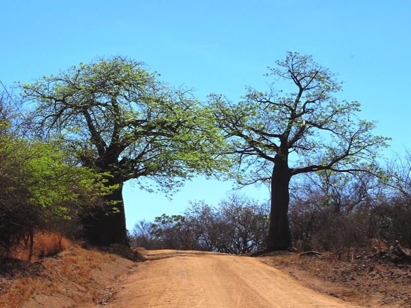 Strasse nach Tambara