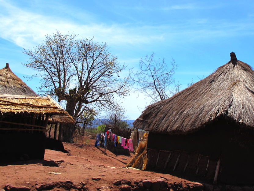 Tambara