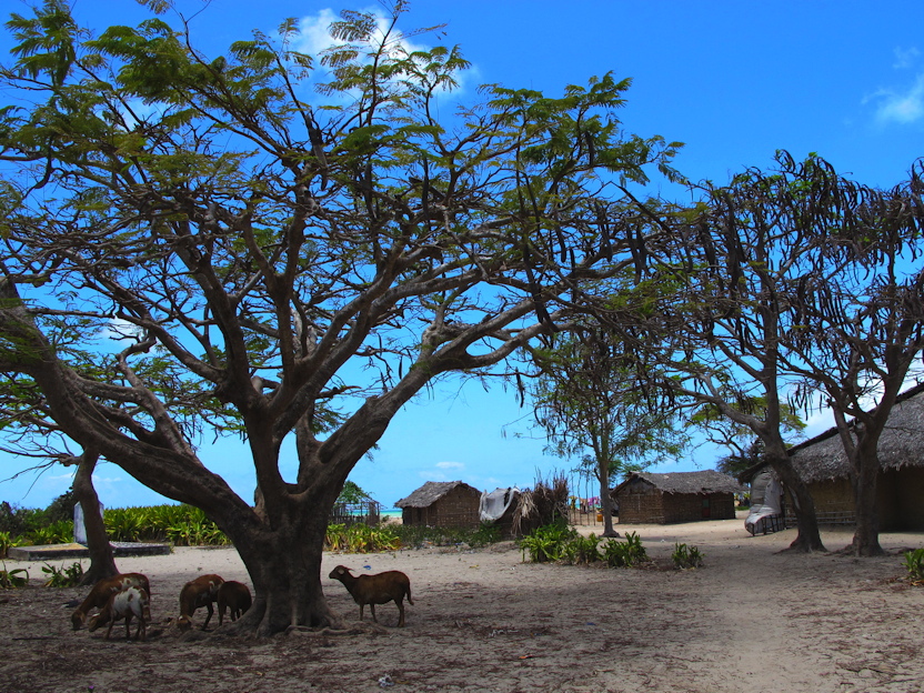 Ilha do Quirimba