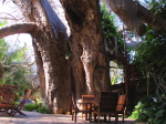 Pemba, Pieter's Place
