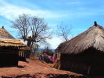 Tambara