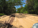 Strasse von Caia nach Beira
