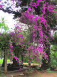 Maputo, Jardim Tunduru