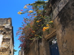 Ilha do Mozambique