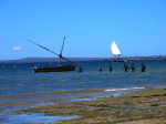 Pemba, beim Dhow-Hafen