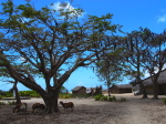 Ilha do Quirimba
