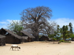 Ilha do Quirimba