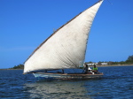 Dhow, Ilha do Ibo