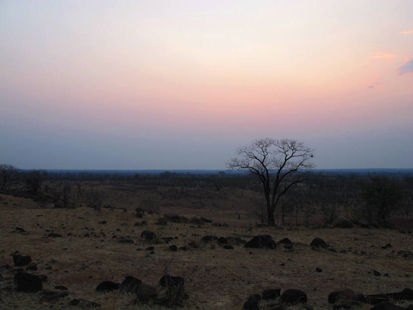 im Luangwa N. P.