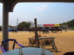in Limulunga