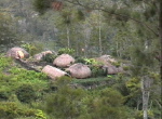 Dorf