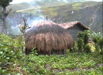 DaniMännerhaus