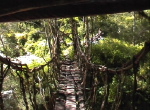 Brücke