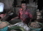 JayaPuraFischmarkt2