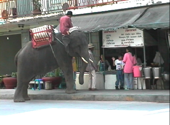 ChiangRai