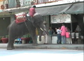 ChiangRai