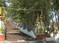 MaeSai2