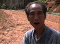 Betel