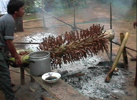 Satay