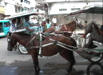 Manado4