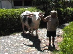 Bulle
