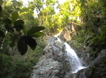 DumogaBone NP