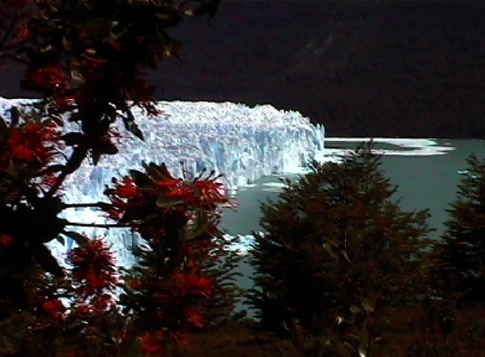 Glaciar Moreno