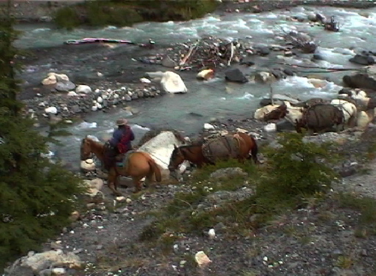 Torres del Paine N P 