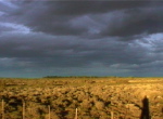 Abend bei Sarmiento