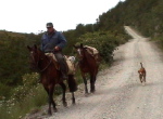bei Cochrane