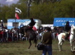 Rio Mayo Festival