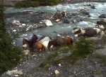 Torres del Paine N P 