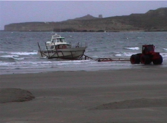 Peninsula Valdés 1