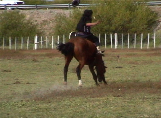 Rio Mayo Festival 5