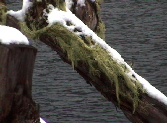 Laguna Escondida 2