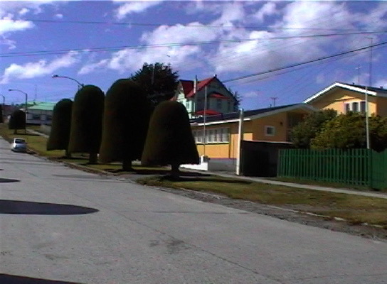 Porvenir
